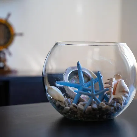 Stella Marina 아파트 *