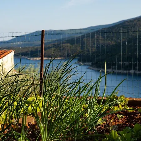 Stella Marina غاباس