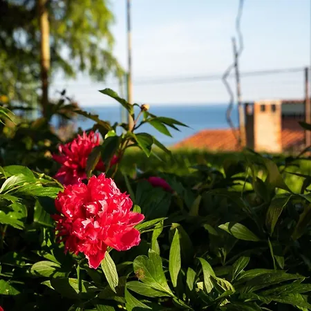 Stella Marina * Rabac
