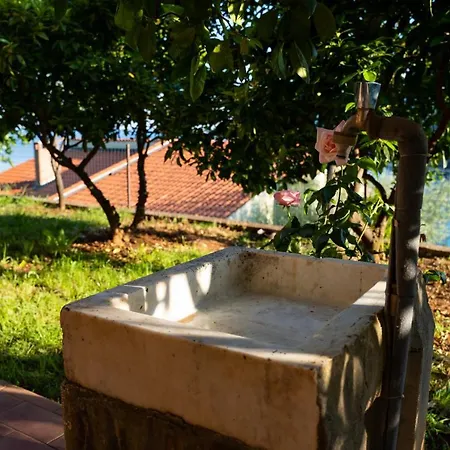 Stella Marina * غاباس