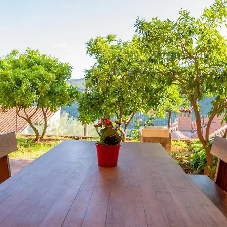 Stella Marina شقة *