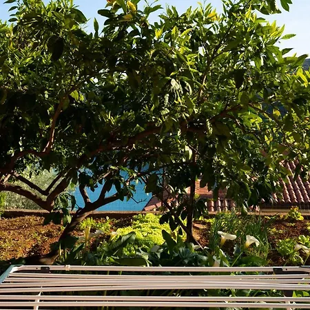 Appartement Stella Marina Rabac