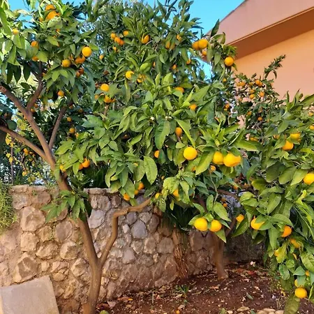 Stella Marina